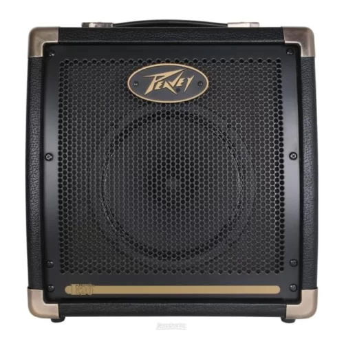 Peavey Ecoustic E20 Комбоусилитель для акустической гитары, 20 Вт., 8"