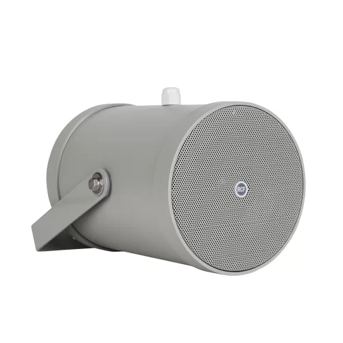 RCF BD 42 Звуковой прожектор двунаправленный, 2x5", 12/6/3 Вт., 100 В