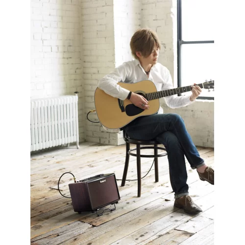 Roland AC-33RW Акустический комбоусилитель, 30 Вт., 2x4,5"