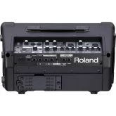 Roland CUBE Street EX (CUBE-STEX) Гитарный комбоусилитель, 50 Вт., 2x8"