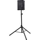 Roland CUBE Street EX (CUBE-STEX) Гитарный комбоусилитель, 50 Вт., 2x8"