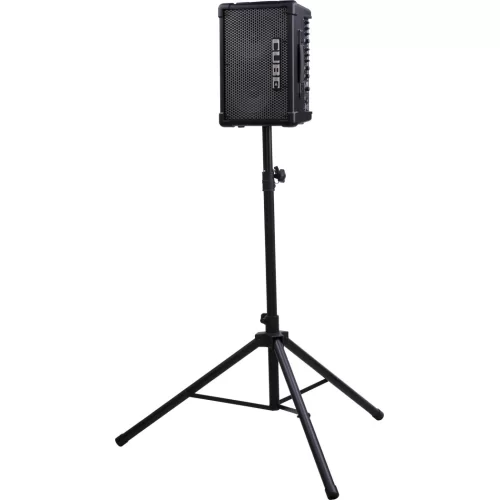 Roland CUBE Street EX (CUBE-STEX) Гитарный комбоусилитель, 50 Вт., 2x8"