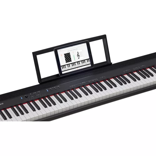 Roland GO-88PX Цифровое пианино