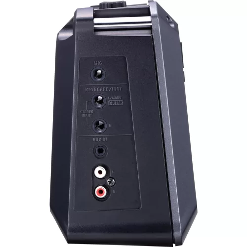 Roland MOBILE CUBE Комбоусилитель, 5 Вт., 2x4"