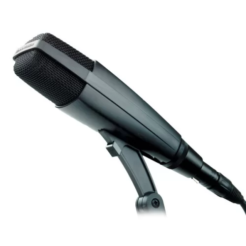 Sennheiser MD 421-II Инструментальный динамический микрофон