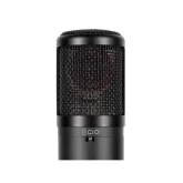 sE Electronics SE 2300 Студийный микрофон