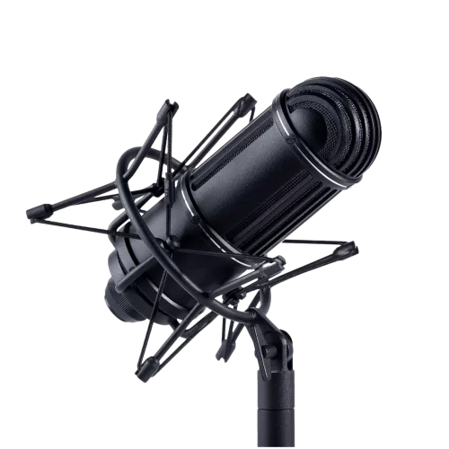 Октава МЛ-52-02 стереопара (черный, картонная коробка) Пара студийных ленточных микрофонов