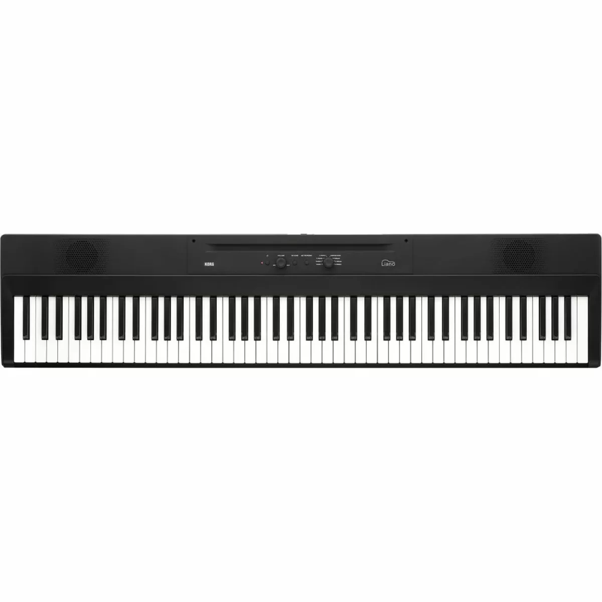 Korg L1